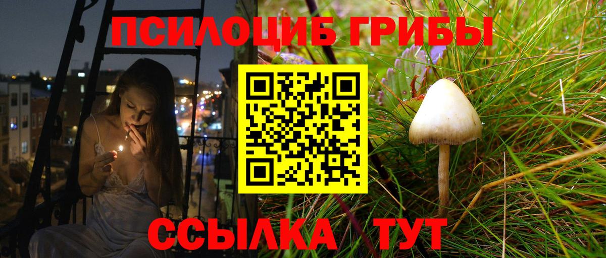 Псилоцибиновые грибы мухоморы Серпухов
