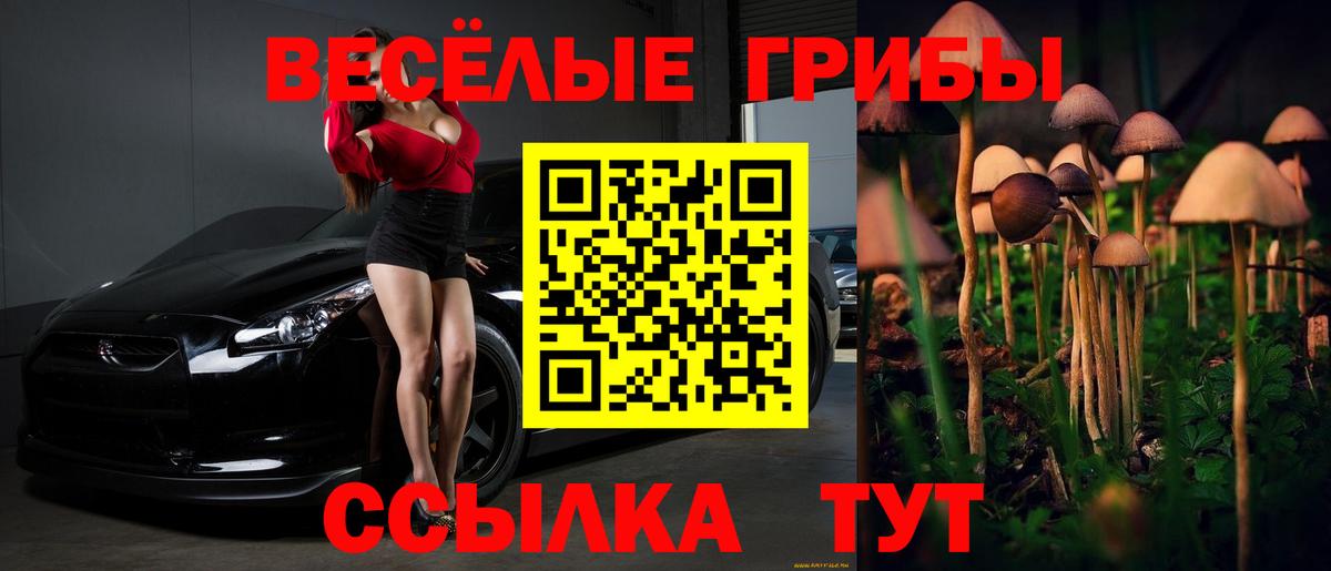 Серпухов  закладка  Вход с VPN  Галлюциногенные грибы прущие грибы 